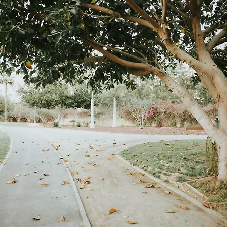 Maria Playa de las Americas (Tenerife)