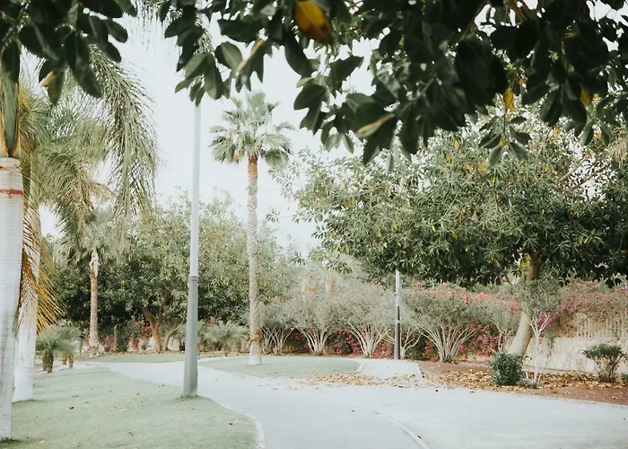 Maria Playa de las Americas (Tenerife)