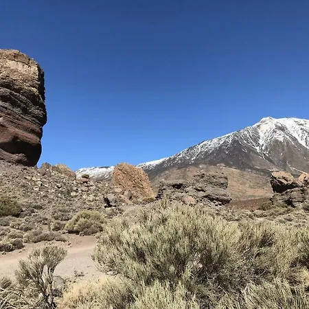 Maria Playa de las Americas (Tenerife)